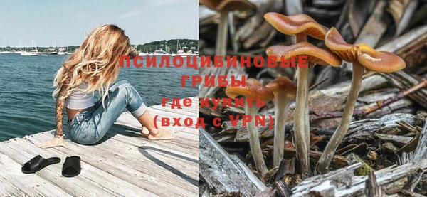дживик Алексин