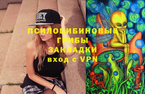 дживик Алексин